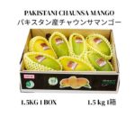 PAKISTANI CHAUNSA MANGO 1.5 KG -