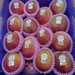 Australian Mango - 7Kg