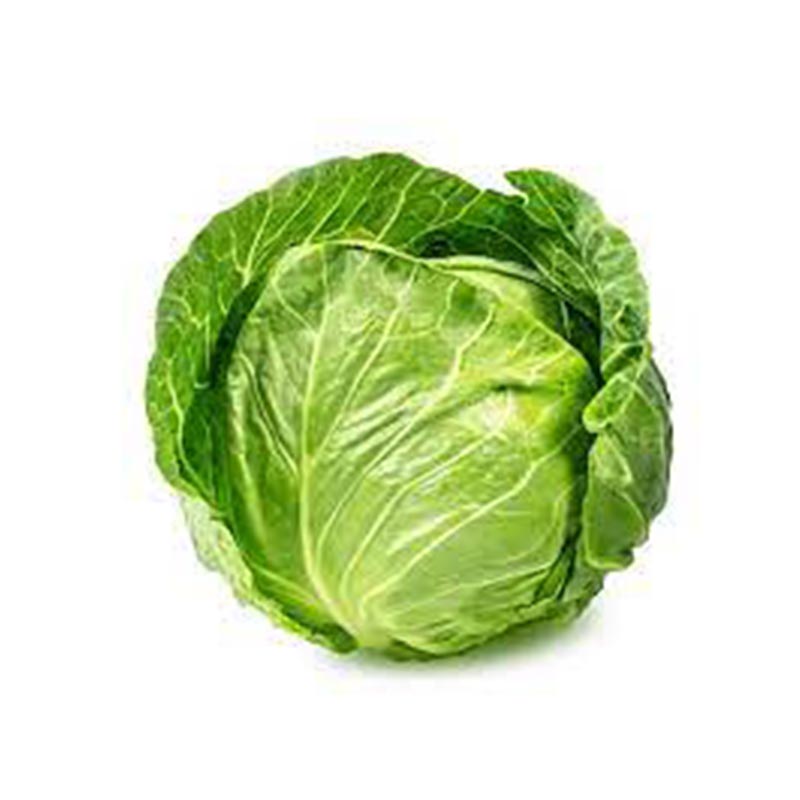 cabbage.jpg