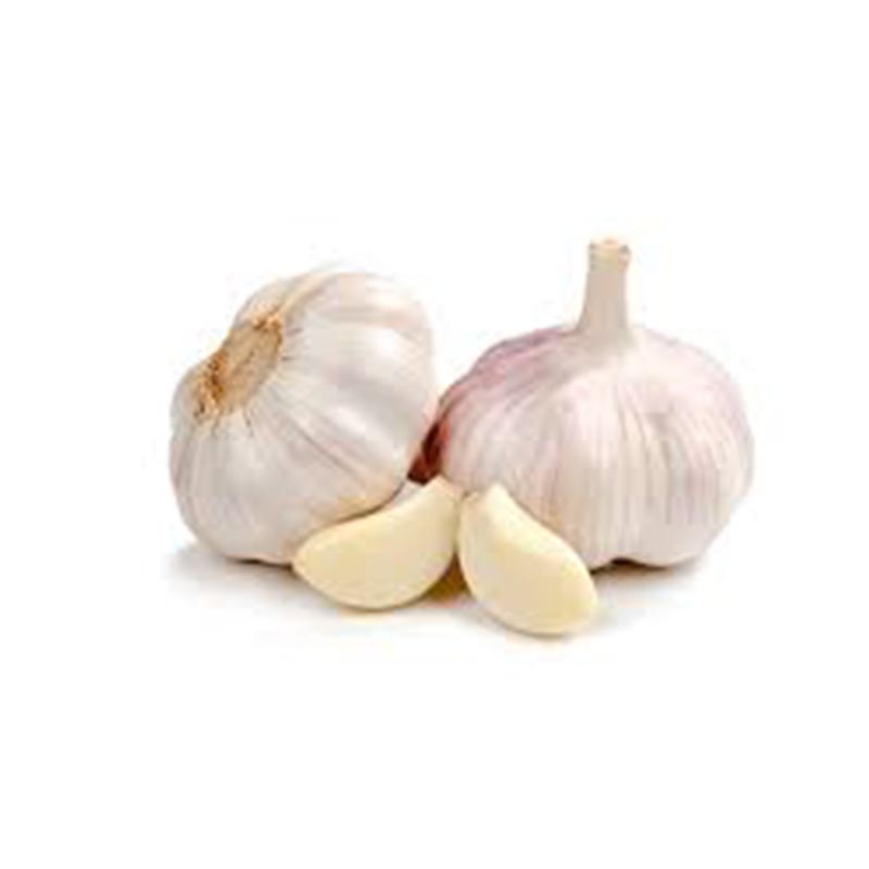 garlic.jpg