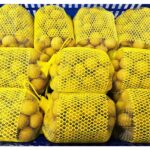 Vietnamese Longan 1Case nh?n vi?t nam